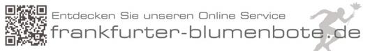 Bild verkleinern